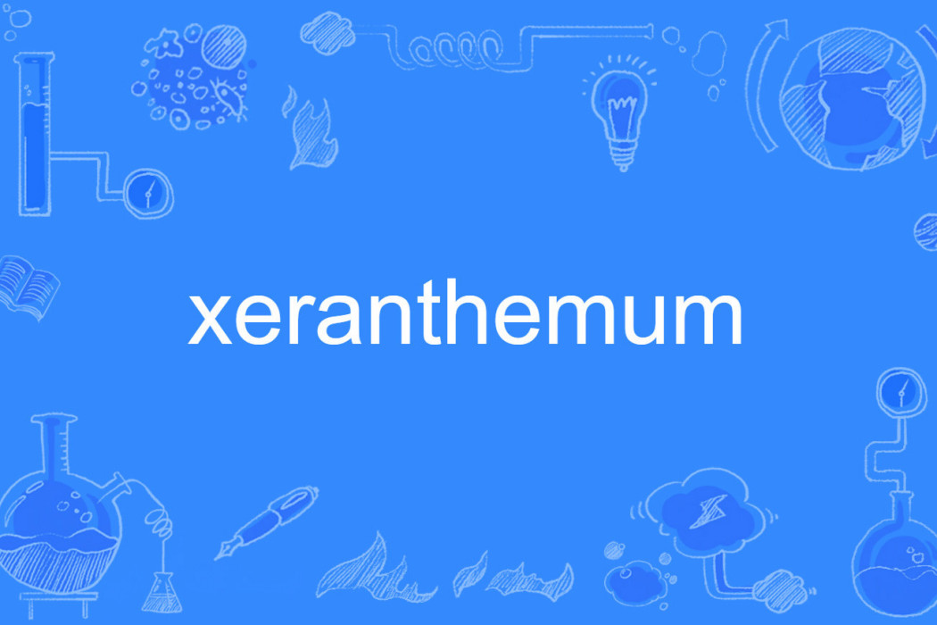 xeranthemum xeranthemum