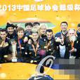 2013中國超級盃