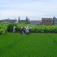 上莫村 上莫村