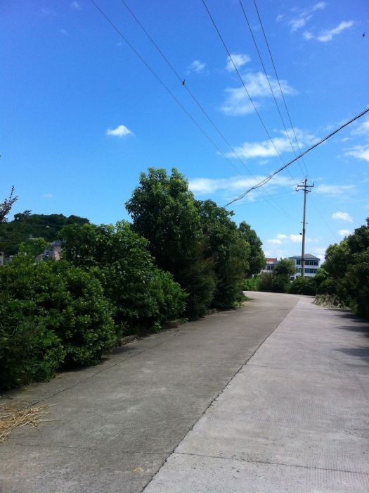 姚公埠村 姚公埠村