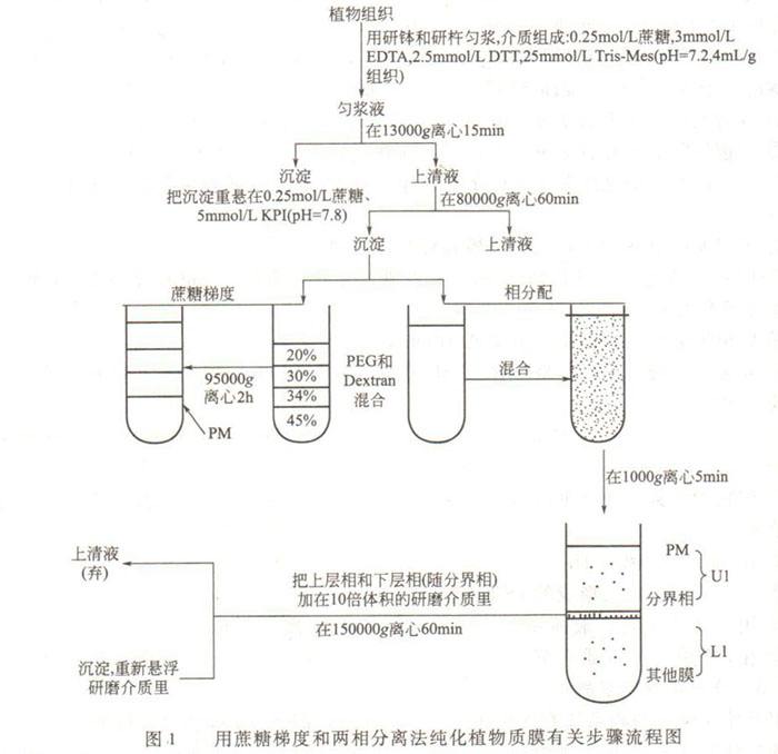 離心技術