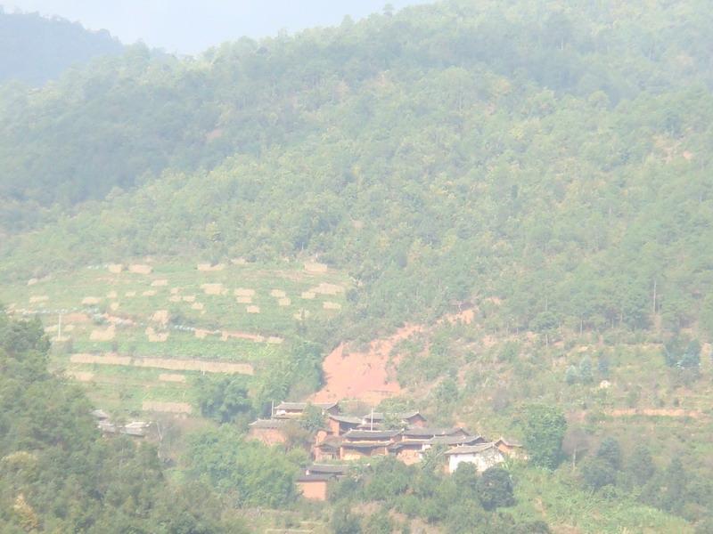 石桌子村 石桌子村