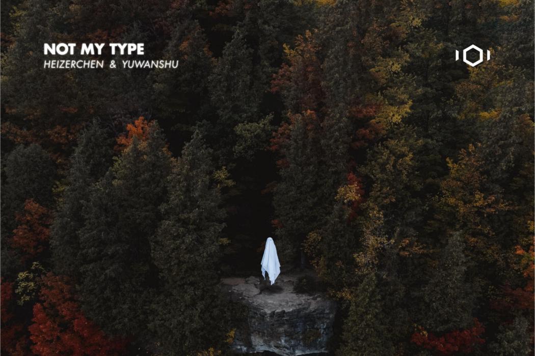 Not My Type(陳海擇HeizerChan,虞萬殊所做歌曲) Not My Type(陳海擇HeizerChan,虞萬殊所做歌曲)