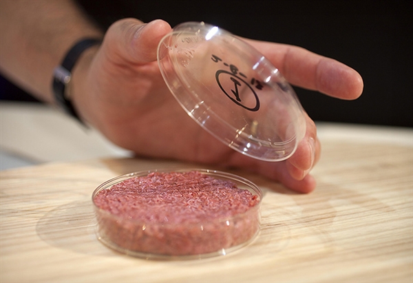 幹細胞人造肉