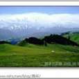 西部庭州 西部庭州