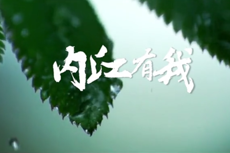 內江有我 內江有我