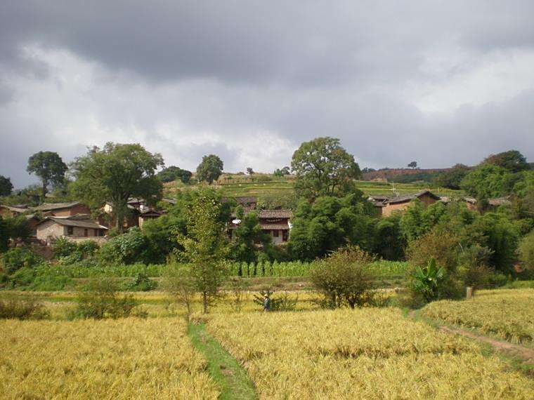 志樂一村