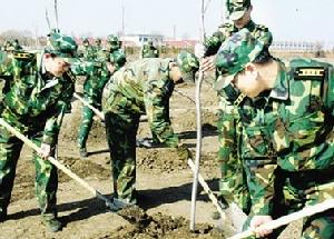 裝甲兵技術學院開展植樹活動