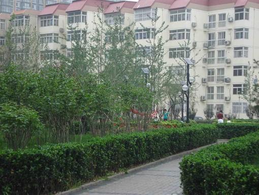 南湖中園 南湖中園