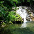 石坡河 石坡河