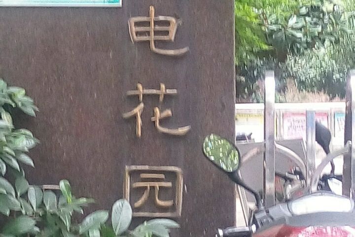 星電花園 星電花園