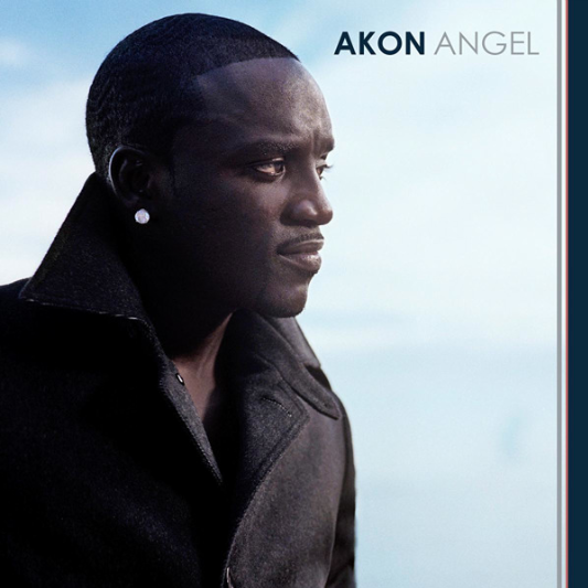 Animal(Akon的歌曲)