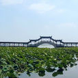 錦溪景區 錦溪景區