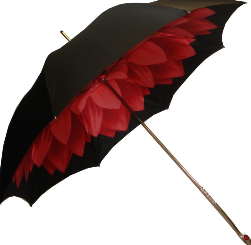 umbrella(英文單詞)