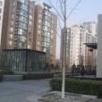 復興路36號院 復興路36號院