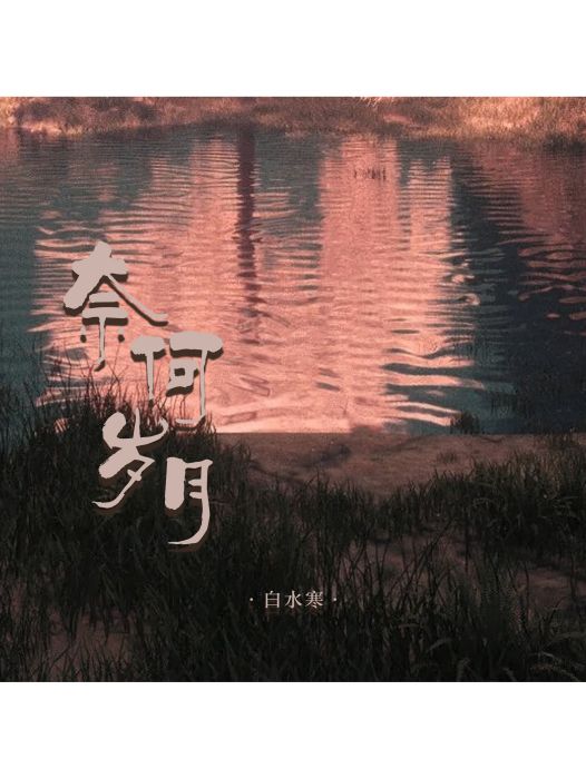 奈何歲月(白水寒演唱的歌曲) 奈何歲月(白水寒演唱的歌曲)