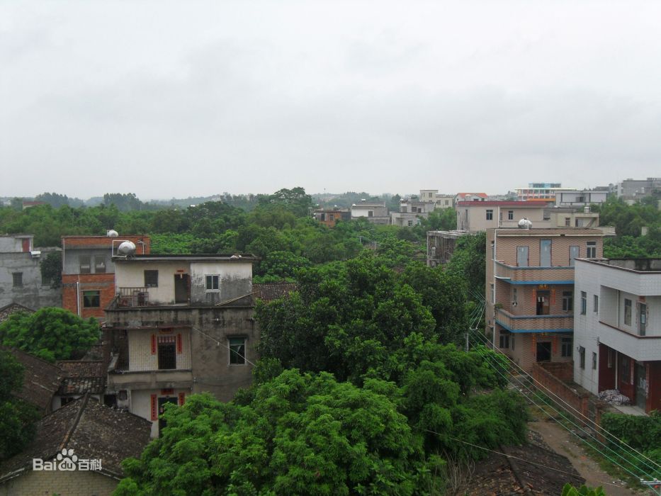 光坡村(廣東省高州市石鼓鎮下轄村) 光坡村(廣東省高州市石鼓鎮下轄村)