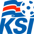 冰島國家男子足球隊(冰島國家隊)