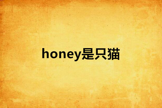honey是只貓 honey是只貓
