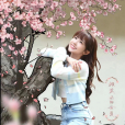金夏(電視劇《金屋藏夫》中的角色) 金夏(電視劇《金屋藏夫》中的角色)