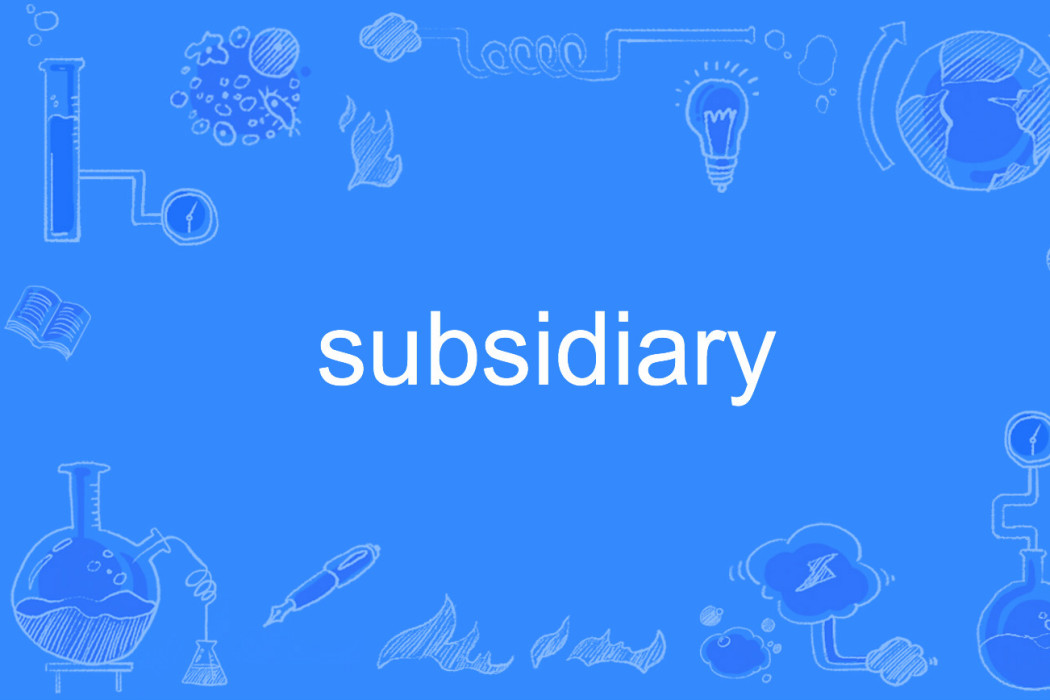 subsidiary subsidiary