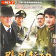 颶風行動(唐國強主演電視劇)