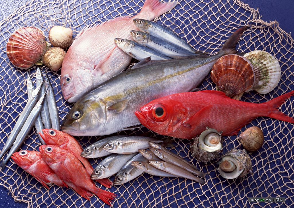 日本漁業