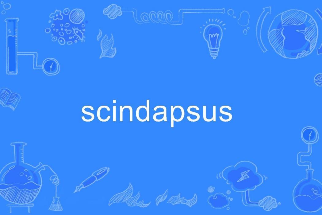 scindapsus scindapsus