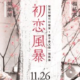 初戀風暴(簡士耕小說) 初戀風暴(簡士耕小說)