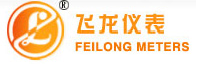 上海飛龍儀表電器有限公司