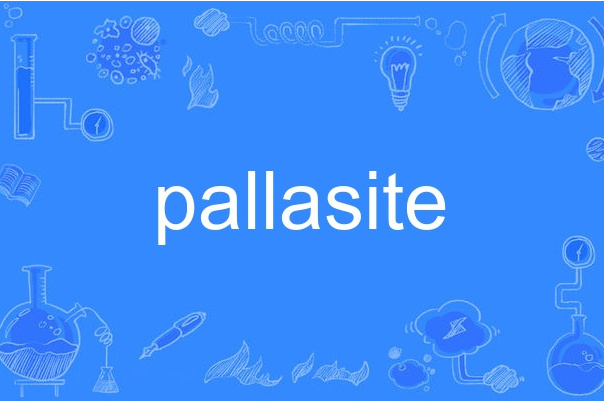 pallasite pallasite