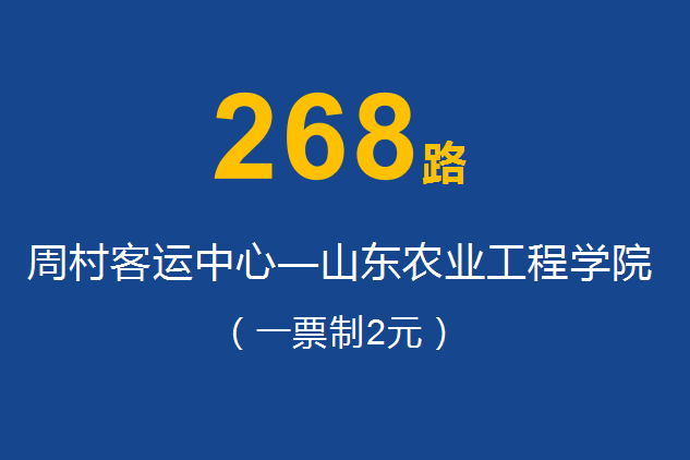 淄博公交268路 淄博公交268路