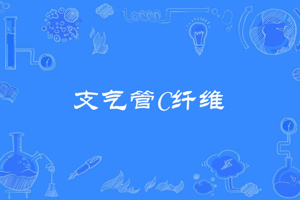 支氣管C纖維 支氣管C纖維