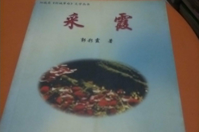 西部人文集 西部人文集
