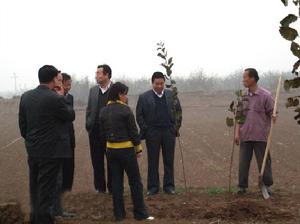 科技人員指導三嘉鄉農民種植蘋果