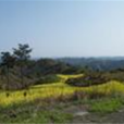百花嶺(百花嶺風景區)