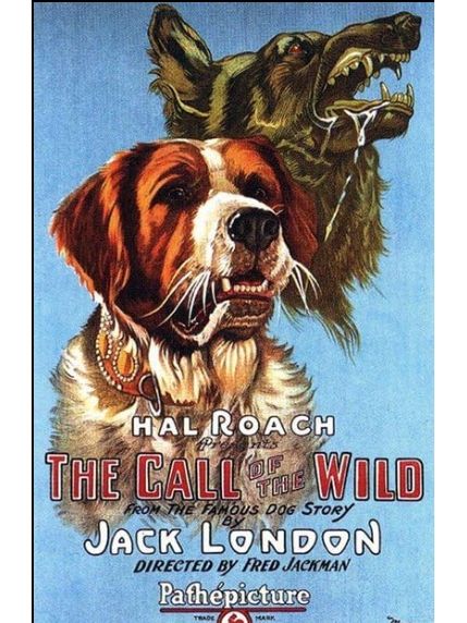 Call of the Wild(美國1923年Fred Jackman執導的電影) Call of the Wild(美國1923年Fred Jackman執導的電影)