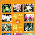 養蘭與賞蘭 養蘭與賞蘭