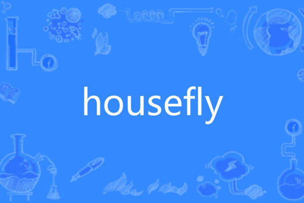 housefly housefly