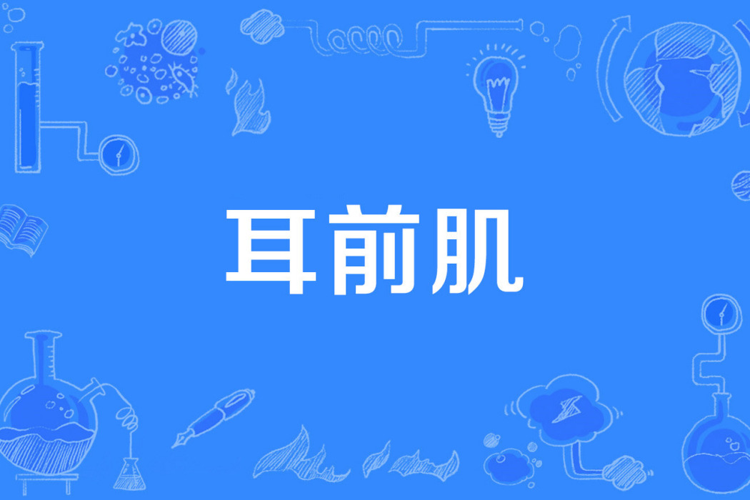 耳前肌 耳前肌