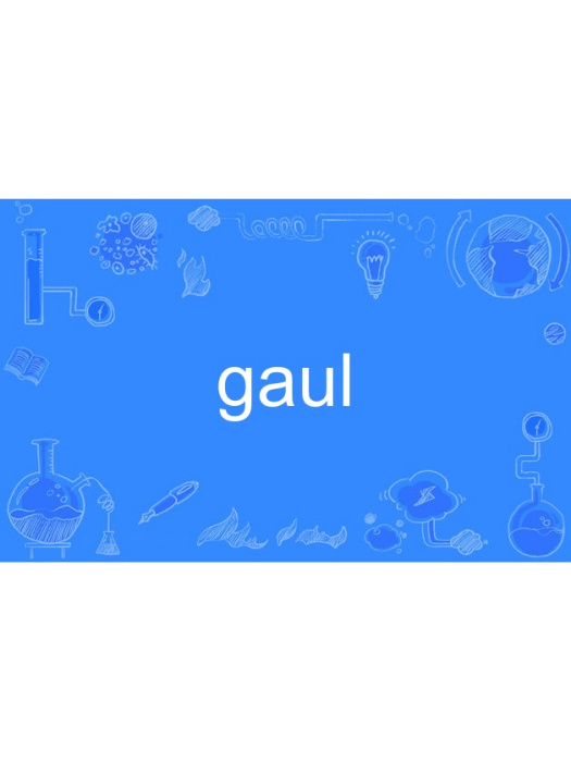 gaul gaul