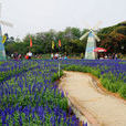 百花洲公園 百花洲公園
