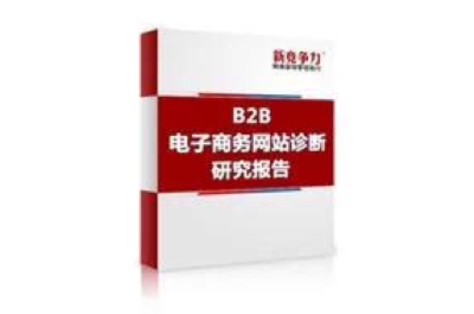 B2B電子商務網站診斷研究報告