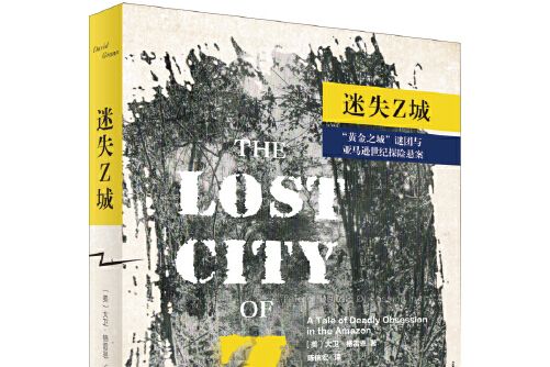 迷失Z城(2017年北京大學出版社出版的圖書) 迷失Z城(2017年北京大學出版社出版的圖書)