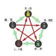 人身五行 人身五行