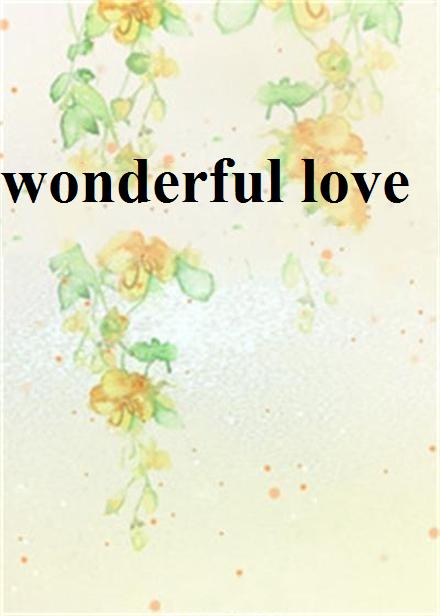 wonderful love(要刻苦創作的言情小說)