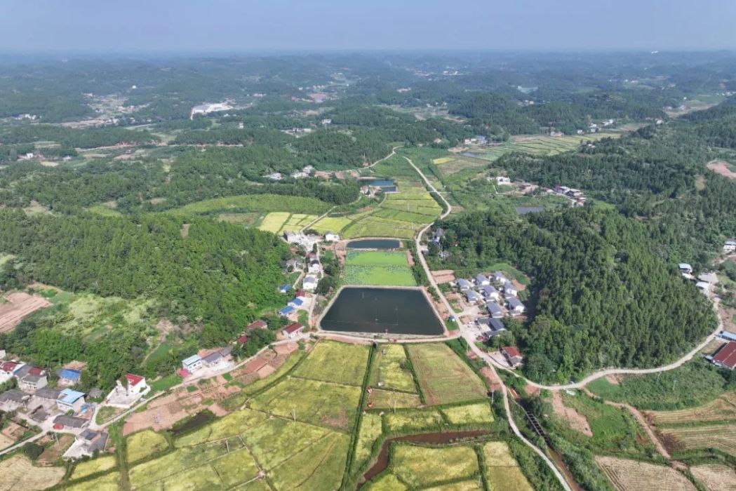 打鼓村(四川省遂寧市安居區橫山鎮下轄村)