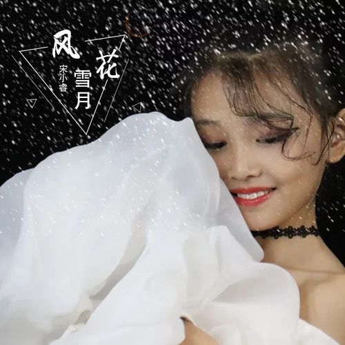 風花雪月(2019年宋小睿演唱歌曲) 風花雪月(2019年宋小睿演唱歌曲)
