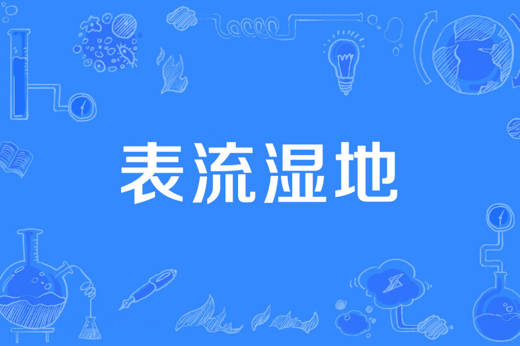 表流濕地 表流濕地