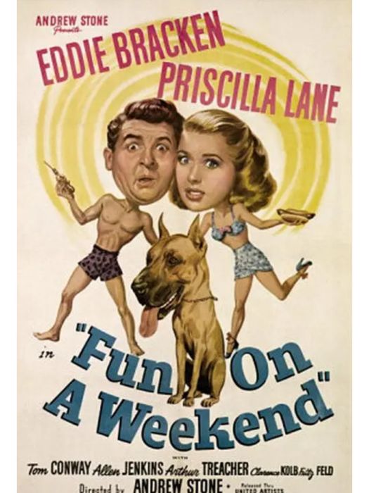 傻瓜艷遇(美國1947年Andrew L. Stone執導的電影) 傻瓜艷遇(美國1947年Andrew L. Stone執導的電影)